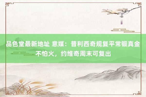 品色堂最新地址 意媒:普利西奇规复平常锻真金不怕火,约维奇周末可复出