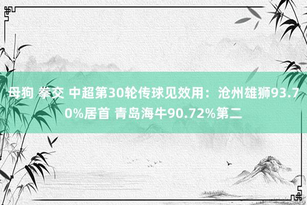 母狗 拳交 中超第30轮传球见效用:沧州雄狮93.70%居首 青岛海牛90.72%第二