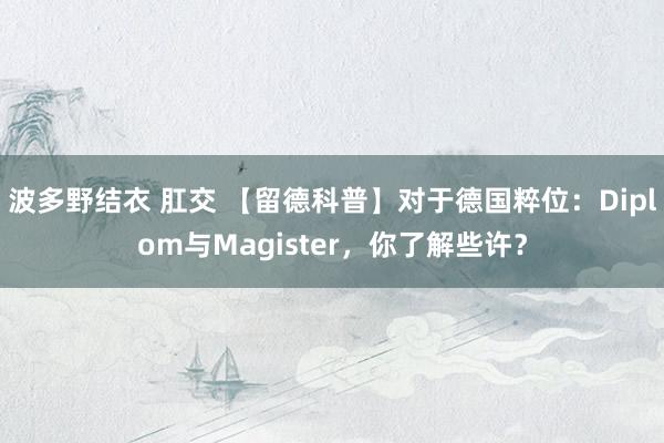 波多野结衣 肛交 【留德科普】对于德国粹位：Diplom与Magister，你了解些许？
