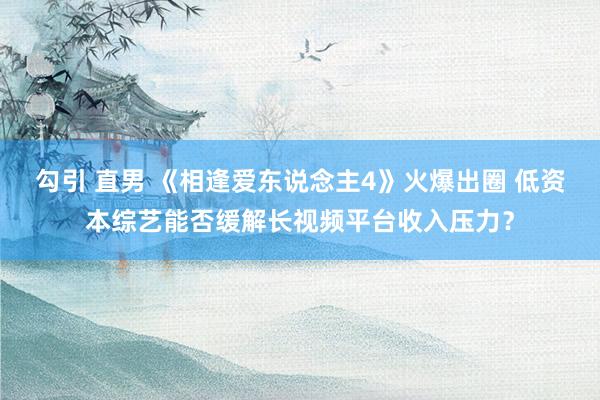 勾引 直男 《相逢爱东说念主4》火爆出圈 低资本综艺能否缓解长视频平台收入压力？