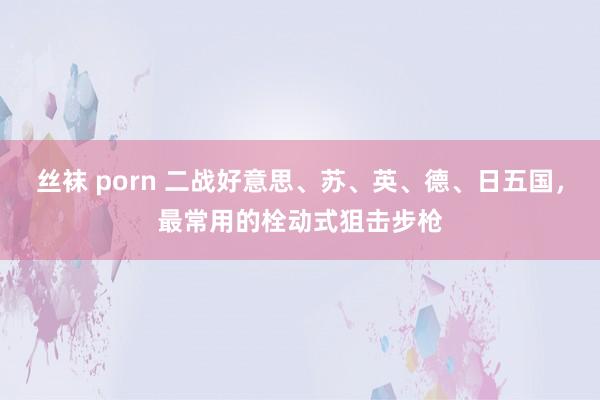 丝袜 porn 二战好意思、苏、英、德、日五国，最常用的栓动式狙击步枪