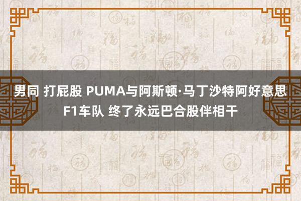 男同 打屁股 PUMA与阿斯顿·马丁沙特阿好意思F1车队 终了永远巴合股伴相干