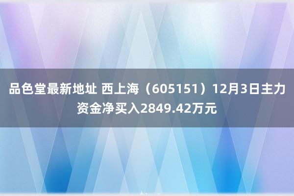 品色堂最新地址 西上海（605151）12月3日主力资金净买入2849.42万元
