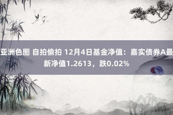 亚洲色图 自拍偷拍 12月4日基金净值：嘉实债券A最新净值1.2613，跌0.02%