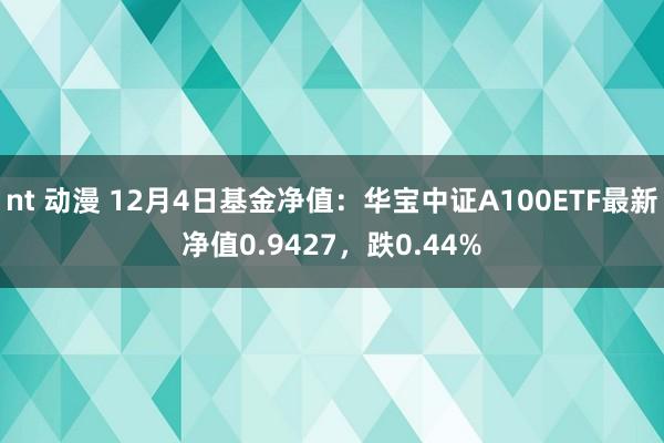 nt 动漫 12月4日基金净值：华宝中证A100ETF最新净值0.9427，跌0.44%