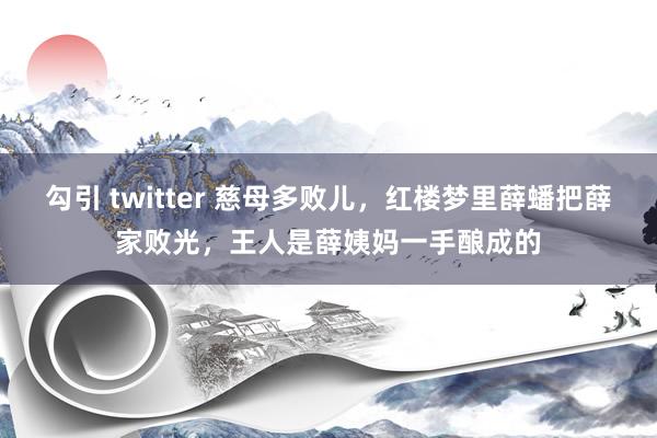 勾引 twitter 慈母多败儿，红楼梦里薛蟠把薛家败光，王人是薛姨妈一手酿成的