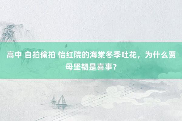 高中 自拍偷拍 怡红院的海棠冬季吐花，为什么贾母坚韧是喜事？