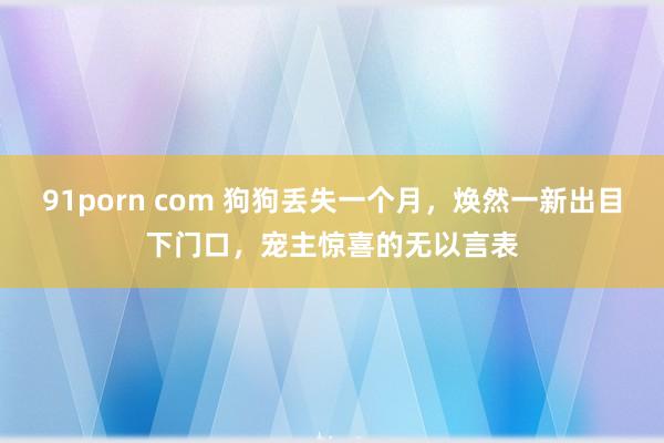 91porn com 狗狗丢失一个月，焕然一新出目下门口，宠主惊喜的无以言表