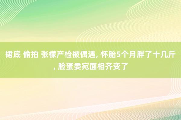 裙底 偷拍 张檬产检被偶遇， 怀胎5个月胖了十几斤， 脸蛋委宛面相齐变了