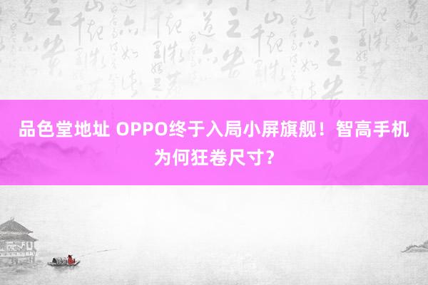 品色堂地址 OPPO终于入局小屏旗舰！智高手机为何狂卷尺寸？
