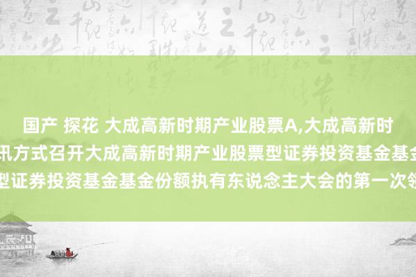 国产 探花 大成高新时期产业股票A,大成高新时期产业股票C: 对于以通讯方式召开大成高新时期产业股票型证券投资基金基金份额执有东说念主大会的第一次领导性公告