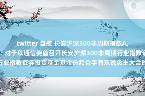 twitter 自慰 长安沪深300非周期指数A,长安沪深300非周期指数C: 对于以通信姿首召开长安沪深300非周期行业指数证券投资基金基金份额合手有东说念主大会的第二次指示性公告