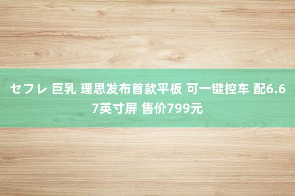 セフレ 巨乳 理思发布首款平板 可一键控车 配6.67英寸屏 售价799元