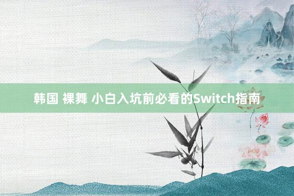 韩国 裸舞 小白入坑前必看的Switch指南