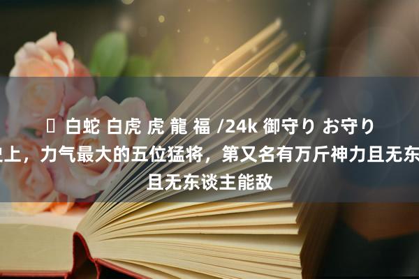 ✨白蛇 白虎 虎 龍 福 /24k 御守り お守り 古代历史上，力气最大的五位猛将，第又名有万斤神力且无东谈主能敌