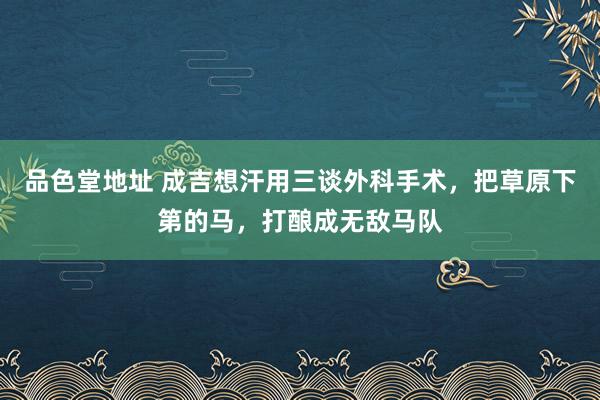 品色堂地址 成吉想汗用三谈外科手术，把草原下第的马，打酿成无敌马队