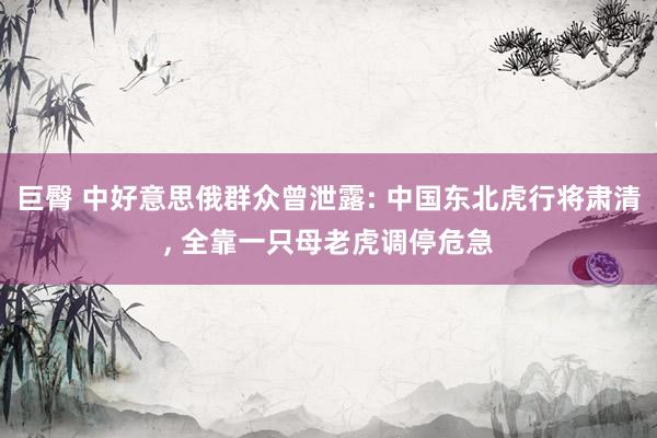 巨臀 中好意思俄群众曾泄露: 中国东北虎行将肃清， 全靠一只母老虎调停危急