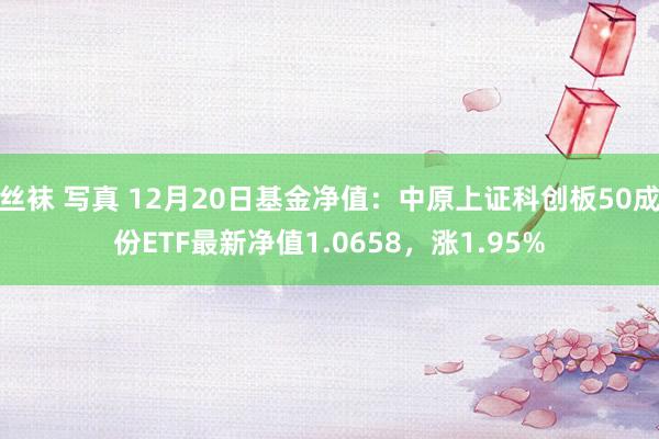 丝袜 写真 12月20日基金净值：中原上证科创板50成份ETF最新净值1.0658，涨1.95%