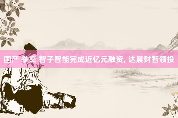国产 拳交 智子智能完成近亿元融资， 达晨财智领投