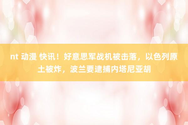 nt 动漫 快讯！好意思军战机被击落，以色列原土被炸，波兰要逮捕内塔尼亚胡