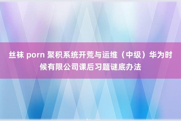 丝袜 porn 聚积系统开荒与运维（中级）华为时候有限公司课后习题谜底办法
