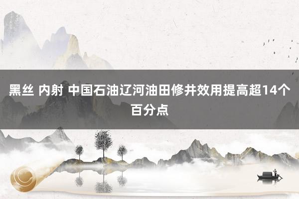 黑丝 内射 中国石油辽河油田修井效用提高超14个百分点