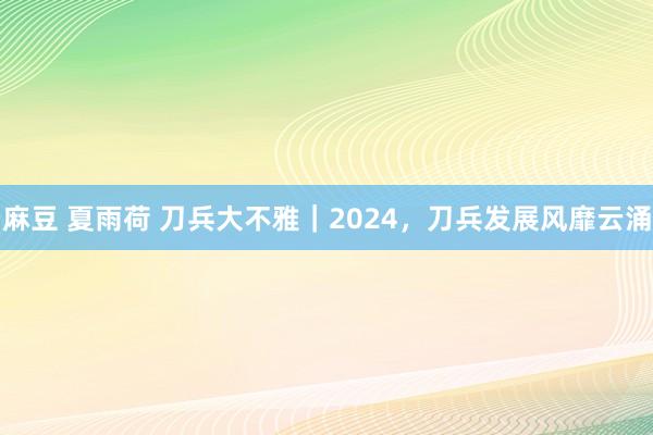 麻豆 夏雨荷 刀兵大不雅｜2024，刀兵发展风靡云涌