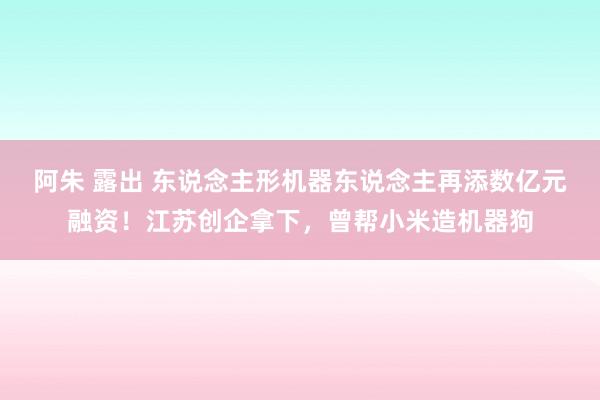 阿朱 露出 东说念主形机器东说念主再添数亿元融资！江苏创企拿下，曾帮小米造机器狗