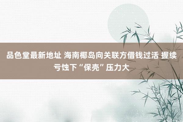 品色堂最新地址 海南椰岛向关联方借钱过活 握续亏蚀下“保壳”压力大