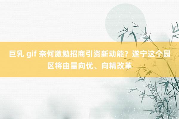 巨乳 gif 奈何激勉招商引资新动能？遂宁这个园区将由量向优、向精改革