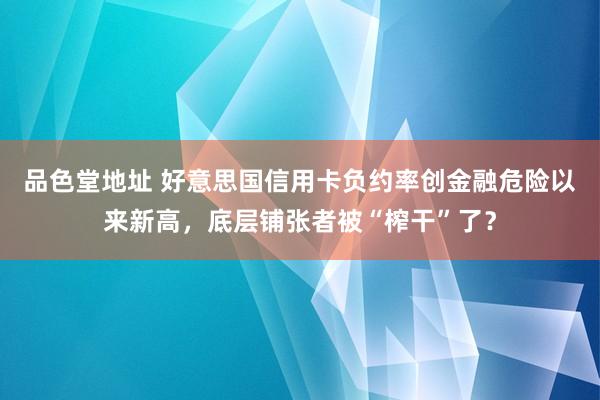 品色堂地址 好意思国信用卡负约率创金融危险以来新高，底层铺张者被“榨干”了？