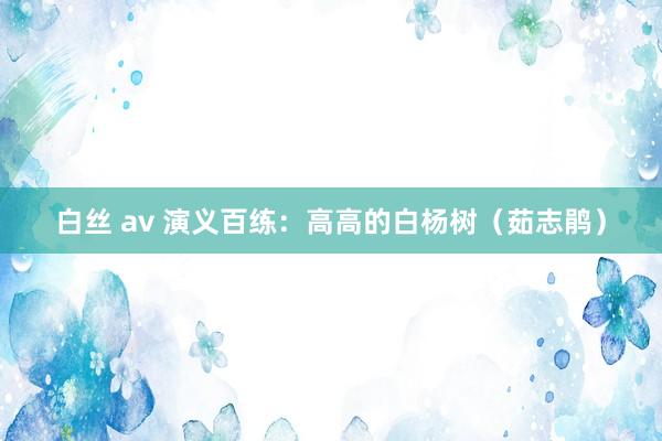 白丝 av 演义百练：高高的白杨树（茹志鹃）