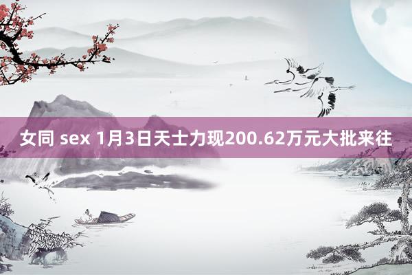 女同 sex 1月3日天士力现200.62万元大批来往