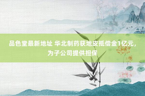 品色堂最新地址 华北制药获地皮抵偿金1亿元，为子公司提供担保