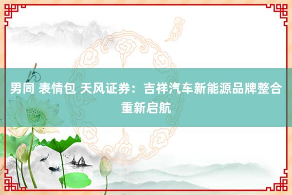 男同 表情包 天风证券：吉祥汽车新能源品牌整合重新启航