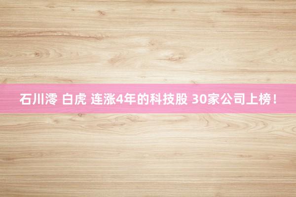 石川澪 白虎 连涨4年的科技股 30家公司上榜！