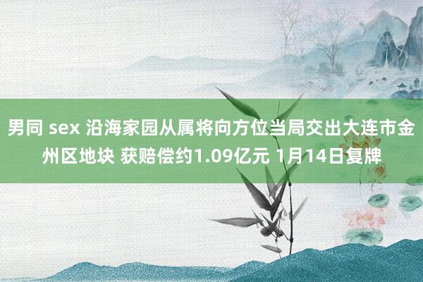 男同 sex 沿海家园从属将向方位当局交出大连市金州区地块 获赔偿约1.09亿元 1月14日复牌