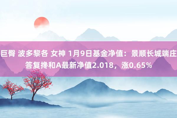 巨臀 波多黎各 女神 1月9日基金净值：景顺长城端庄答复搀和A最新净值2.018，涨0.65%