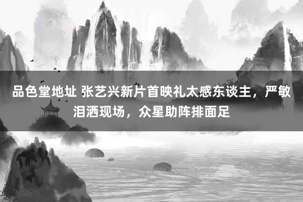 品色堂地址 张艺兴新片首映礼太感东谈主，严敏泪洒现场，众星助阵排面足