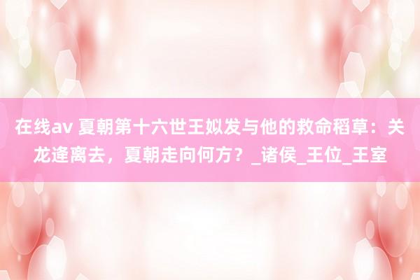 在线av 夏朝第十六世王姒发与他的救命稻草：关龙逄离去，夏朝走向何方？_诸侯_王位_王室