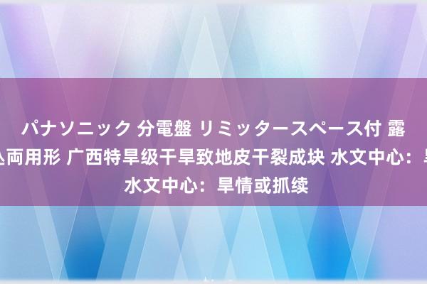パナソニック 分電盤 リミッタースペース付 露出・半埋込両用形 广西特旱级干旱致地皮干裂成块 水文中心：旱情或抓续